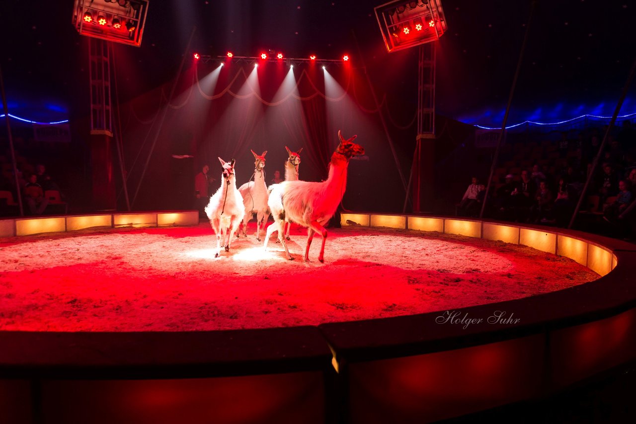 Bild 502 - Circus Europa